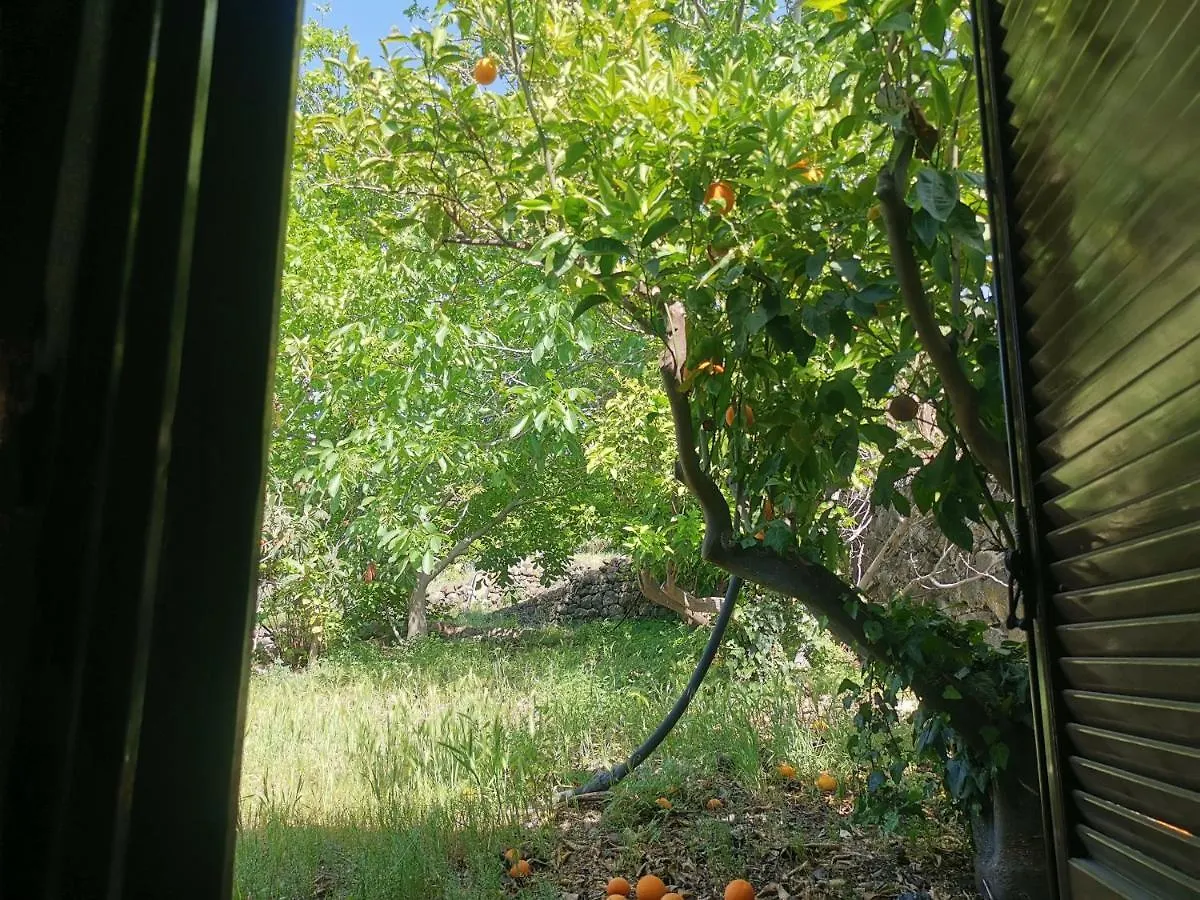 Affittacamere La Fattoria Dei Nonni Paterno  Paterno (Sicily)